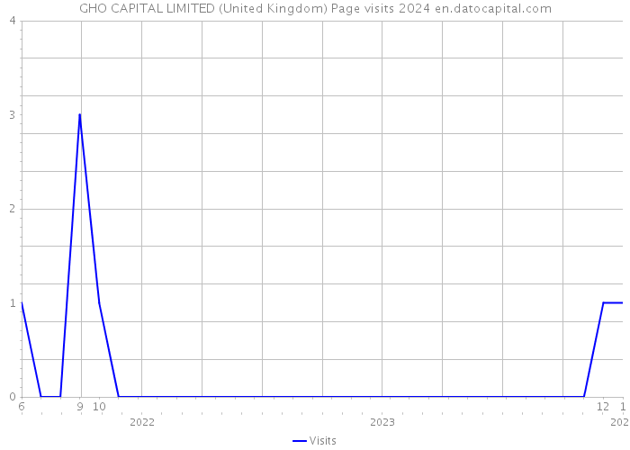 GHO CAPITAL LIMITED (United Kingdom) Page visits 2024 