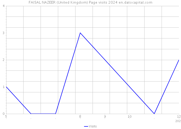 FAISAL NAZEER (United Kingdom) Page visits 2024 