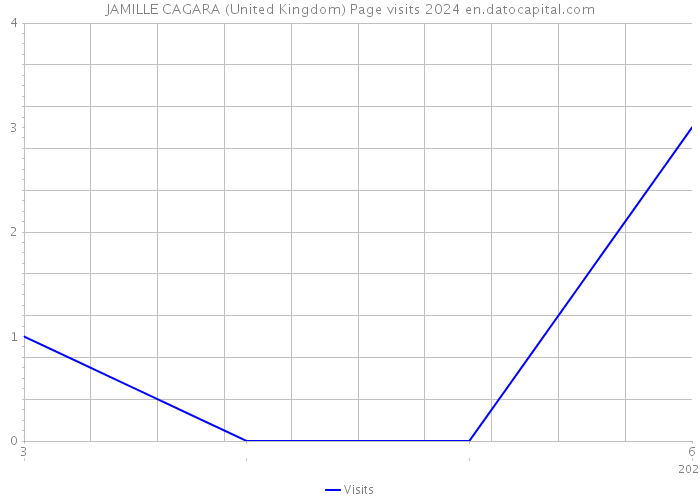 JAMILLE CAGARA (United Kingdom) Page visits 2024 