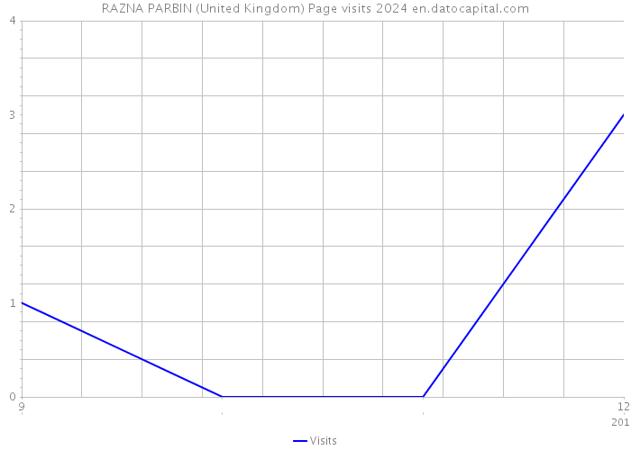 RAZNA PARBIN (United Kingdom) Page visits 2024 