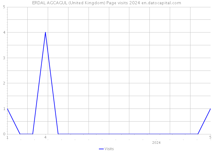 ERDAL AGCAGUL (United Kingdom) Page visits 2024 