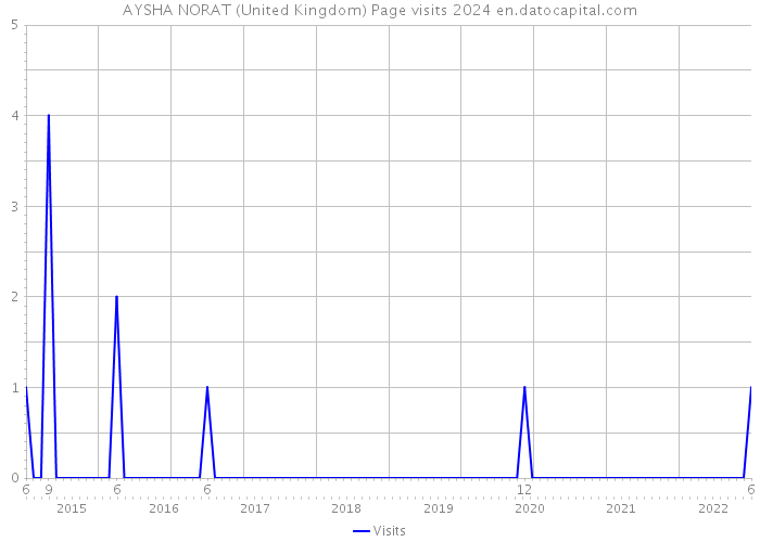 AYSHA NORAT (United Kingdom) Page visits 2024 