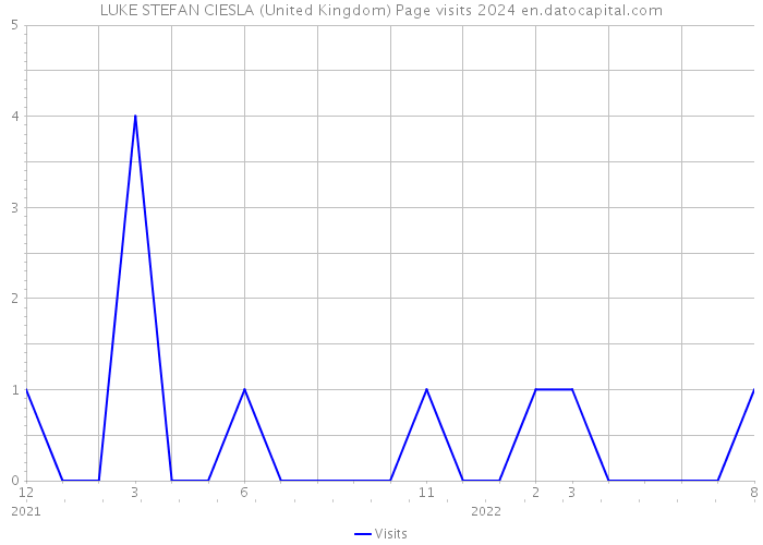 LUKE STEFAN CIESLA (United Kingdom) Page visits 2024 