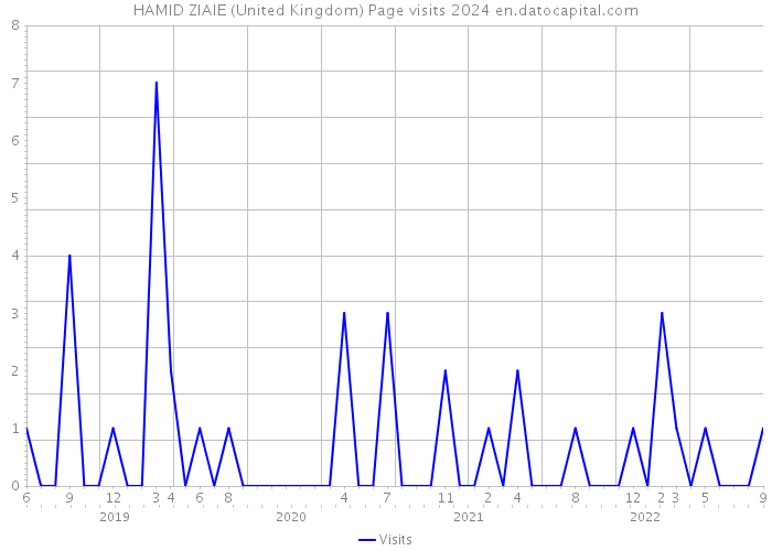 HAMID ZIAIE (United Kingdom) Page visits 2024 