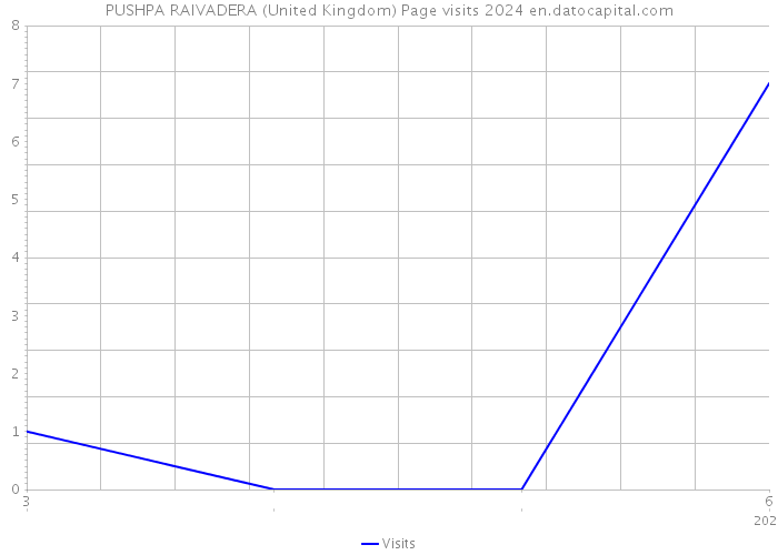 PUSHPA RAIVADERA (United Kingdom) Page visits 2024 