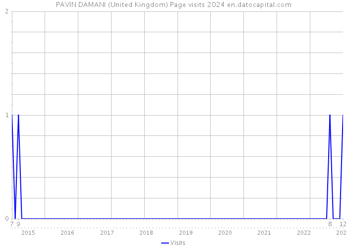 PAVIN DAMANI (United Kingdom) Page visits 2024 