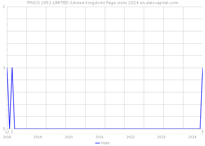 PINCO 2051 LIMITED (United Kingdom) Page visits 2024 