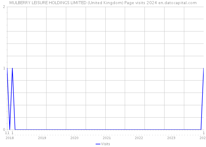 MULBERRY LEISURE HOLDINGS LIMITED (United Kingdom) Page visits 2024 