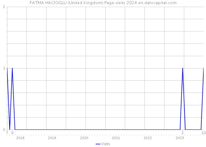 FATMA HACIOGLU (United Kingdom) Page visits 2024 