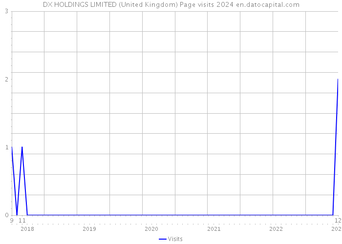 DX HOLDINGS LIMITED (United Kingdom) Page visits 2024 