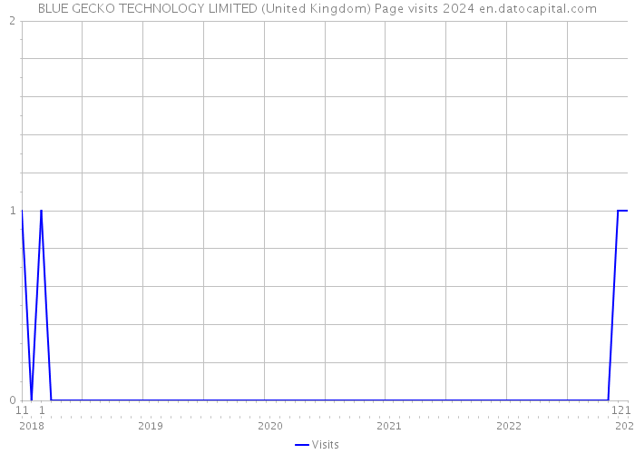BLUE GECKO TECHNOLOGY LIMITED (United Kingdom) Page visits 2024 