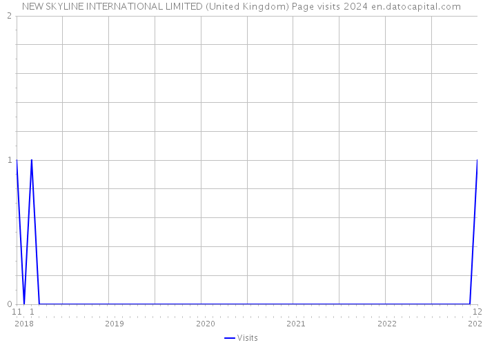 NEW SKYLINE INTERNATIONAL LIMITED (United Kingdom) Page visits 2024 