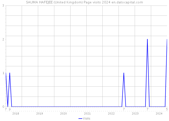 SAUMA HAFEJEE (United Kingdom) Page visits 2024 