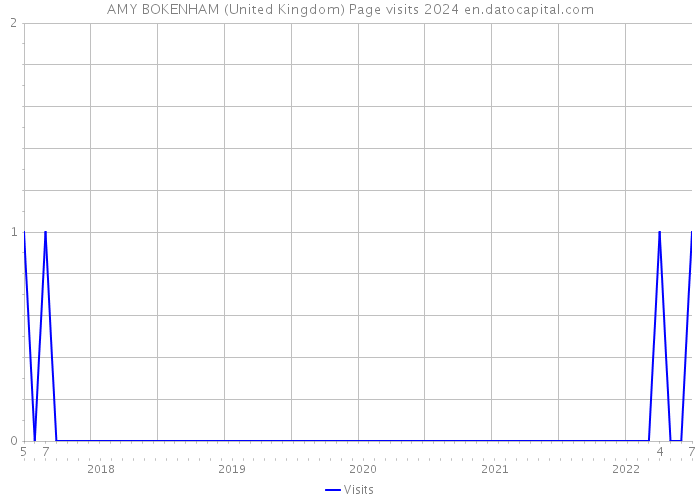 AMY BOKENHAM (United Kingdom) Page visits 2024 
