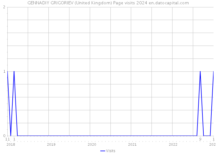 GENNADIY GRIGORIEV (United Kingdom) Page visits 2024 