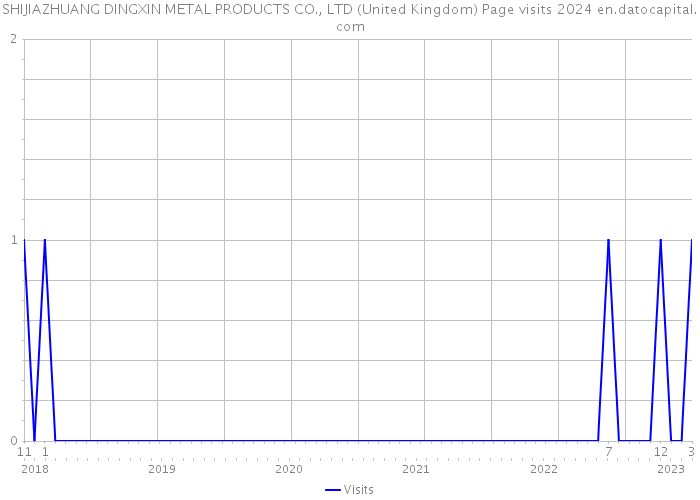 SHIJIAZHUANG DINGXIN METAL PRODUCTS CO., LTD (United Kingdom) Page visits 2024 