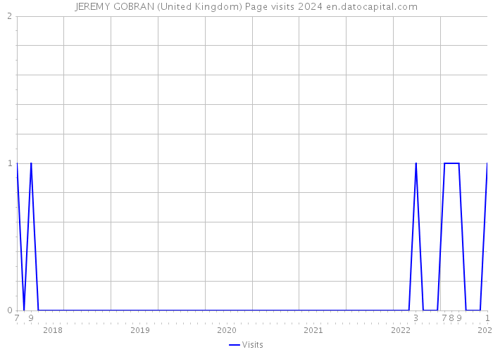 JEREMY GOBRAN (United Kingdom) Page visits 2024 