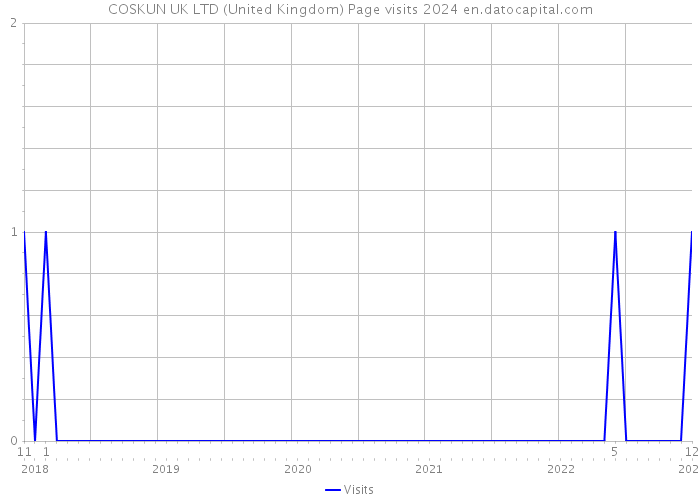 COSKUN UK LTD (United Kingdom) Page visits 2024 