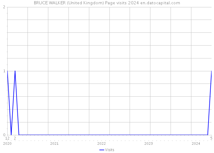 BRUCE WALKER (United Kingdom) Page visits 2024 