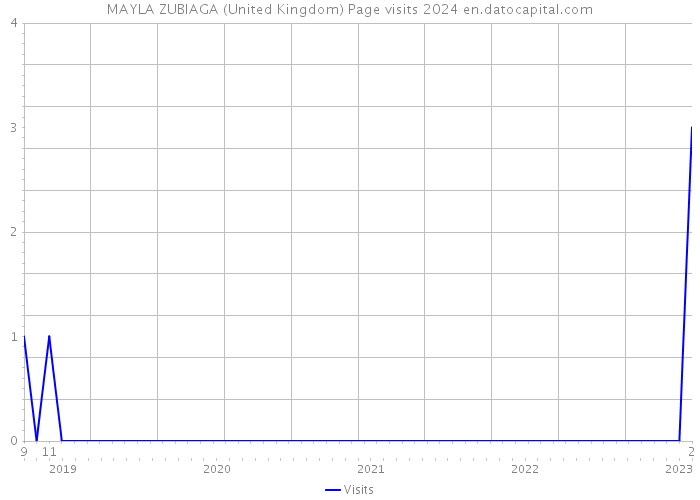 MAYLA ZUBIAGA (United Kingdom) Page visits 2024 