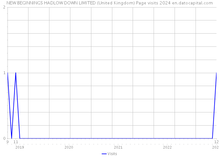 NEW BEGINNINGS HADLOW DOWN LIMITED (United Kingdom) Page visits 2024 