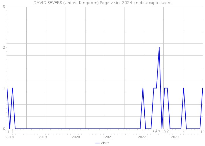 DAVID BEVERS (United Kingdom) Page visits 2024 