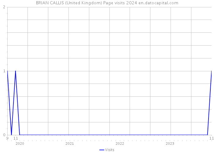 BRIAN CALLIS (United Kingdom) Page visits 2024 