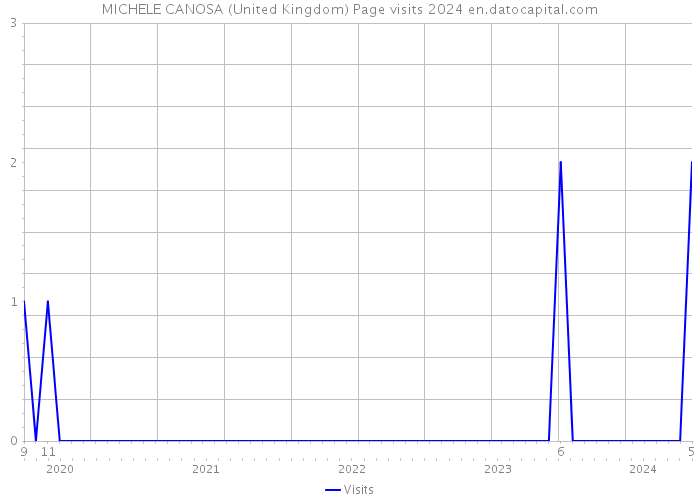 MICHELE CANOSA (United Kingdom) Page visits 2024 