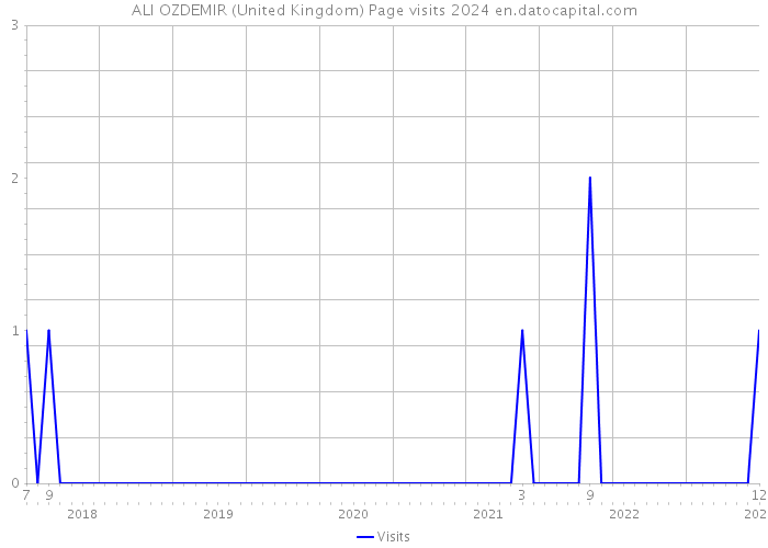 ALI OZDEMIR (United Kingdom) Page visits 2024 