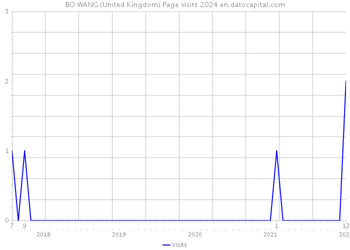 BO WANG (United Kingdom) Page visits 2024 