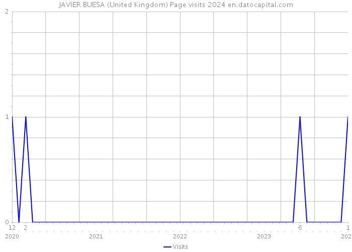 JAVIER BUESA (United Kingdom) Page visits 2024 