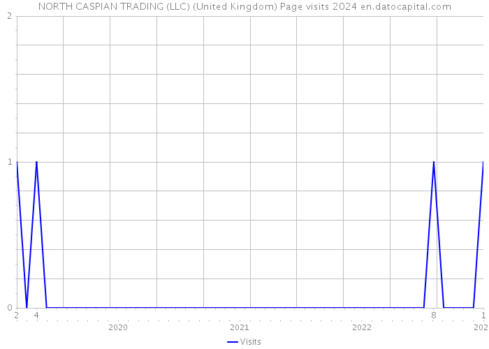 NORTH CASPIAN TRADING (LLC) (United Kingdom) Page visits 2024 