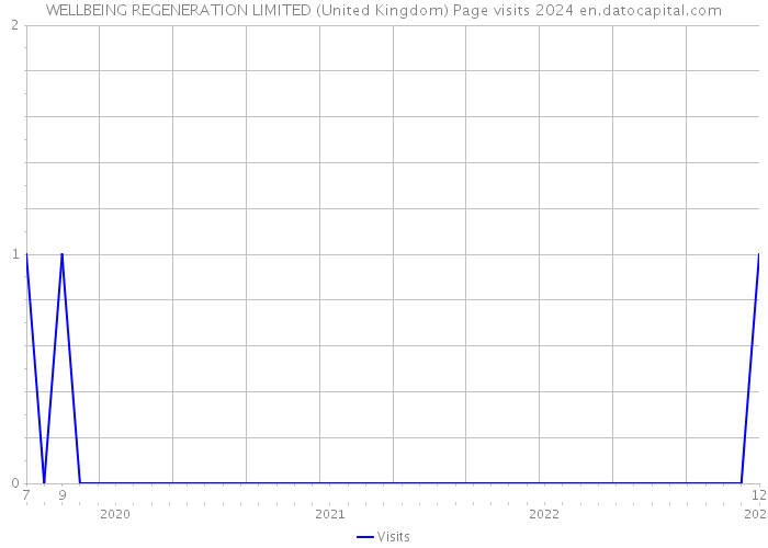 WELLBEING REGENERATION LIMITED (United Kingdom) Page visits 2024 