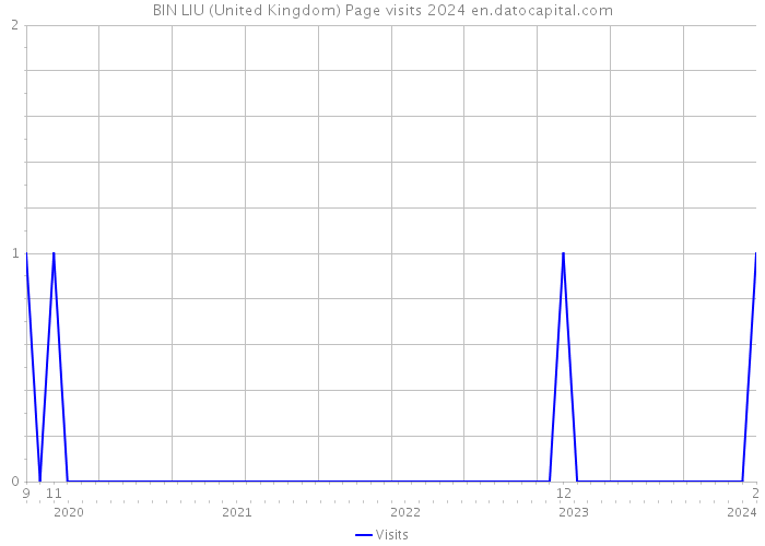 BIN LIU (United Kingdom) Page visits 2024 