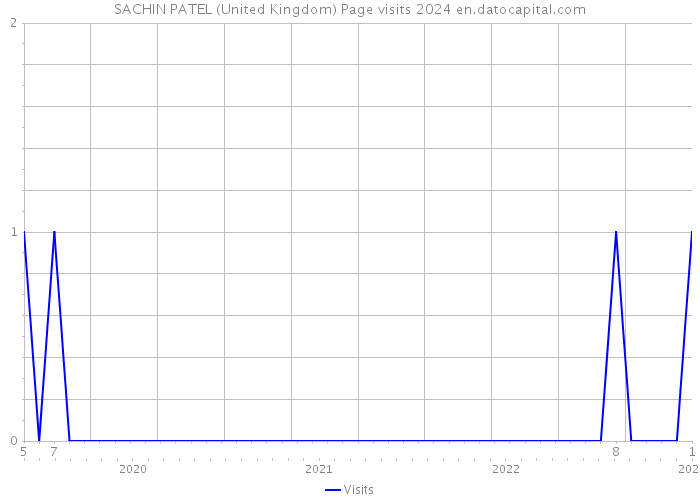 SACHIN PATEL (United Kingdom) Page visits 2024 
