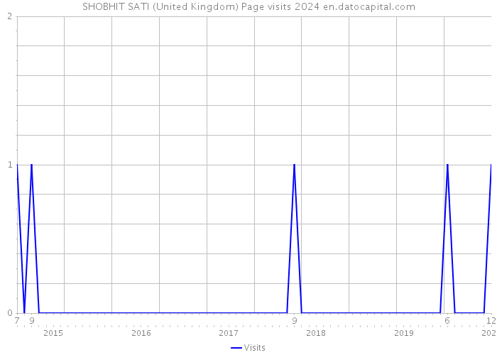 SHOBHIT SATI (United Kingdom) Page visits 2024 