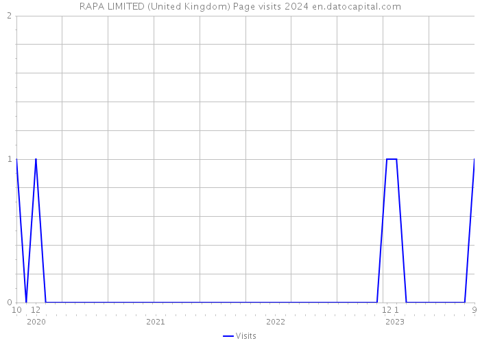 RAPA LIMITED (United Kingdom) Page visits 2024 