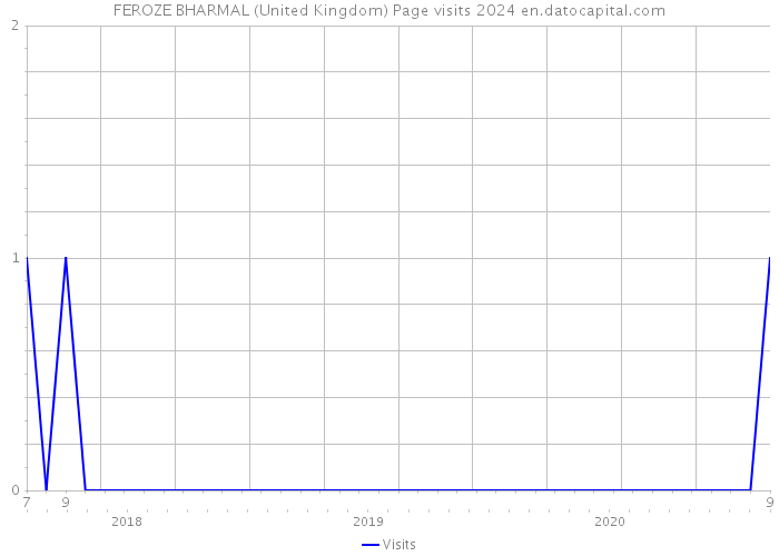 FEROZE BHARMAL (United Kingdom) Page visits 2024 