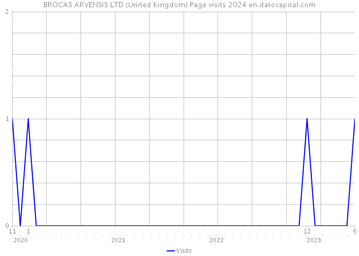 BROCAS ARVENSIS LTD (United Kingdom) Page visits 2024 