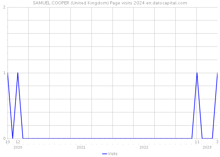 SAMUEL COOPER (United Kingdom) Page visits 2024 