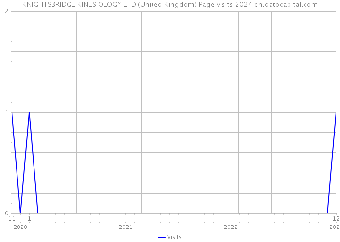 KNIGHTSBRIDGE KINESIOLOGY LTD (United Kingdom) Page visits 2024 