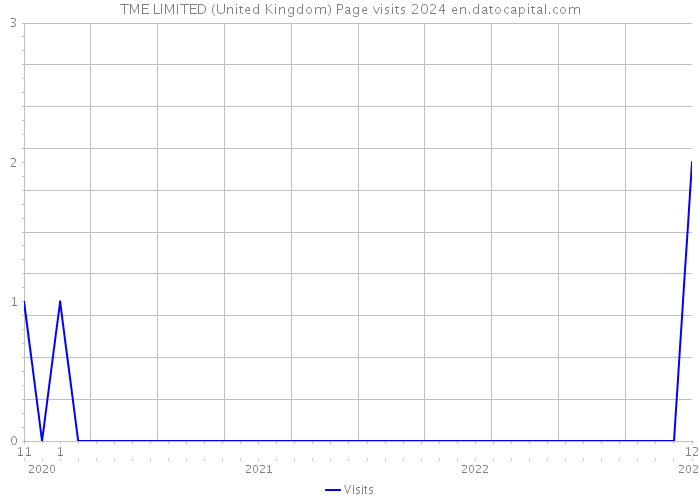 TME LIMITED (United Kingdom) Page visits 2024 