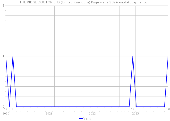 THE RIDGE DOCTOR LTD (United Kingdom) Page visits 2024 