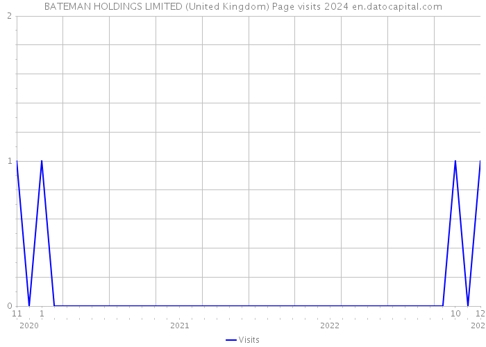 BATEMAN HOLDINGS LIMITED (United Kingdom) Page visits 2024 