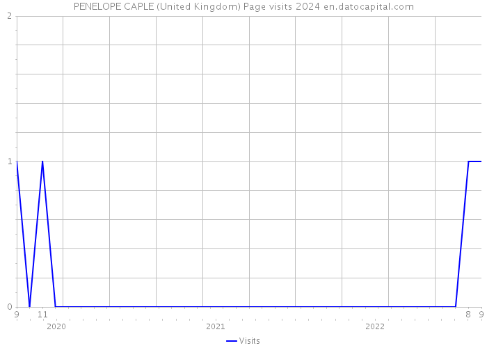 PENELOPE CAPLE (United Kingdom) Page visits 2024 