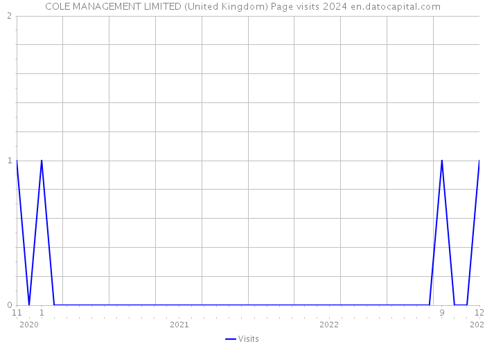 COLE MANAGEMENT LIMITED (United Kingdom) Page visits 2024 