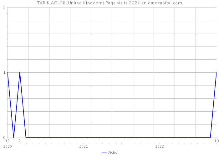 TARIK AOUNI (United Kingdom) Page visits 2024 