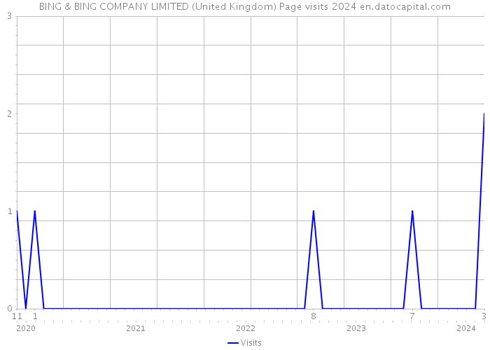 BING & BING COMPANY LIMITED (United Kingdom) Page visits 2024 