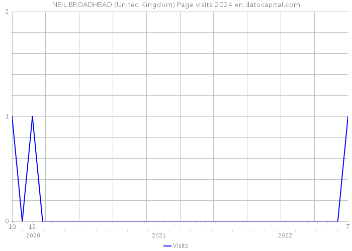 NEIL BROADHEAD (United Kingdom) Page visits 2024 