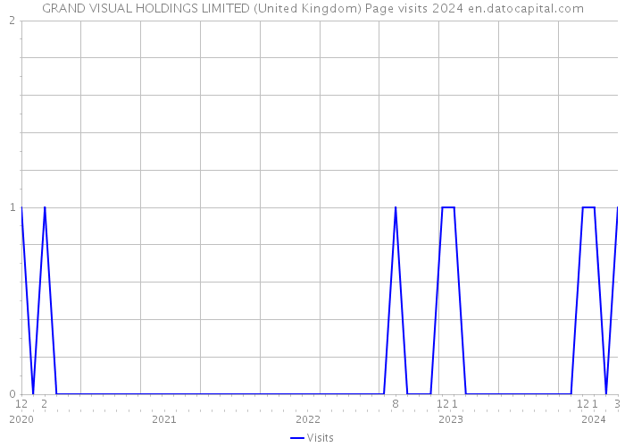 GRAND VISUAL HOLDINGS LIMITED (United Kingdom) Page visits 2024 